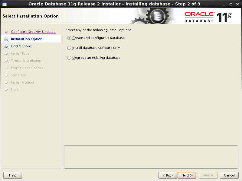 Oracle database 11gR2 Installation on Linux 6: installation option 