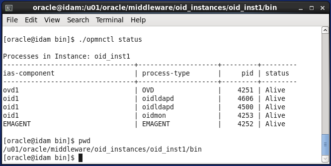 Start Oracle Internet Directory Services : start ias-components